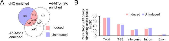 Figure 6—figure supplement 1.