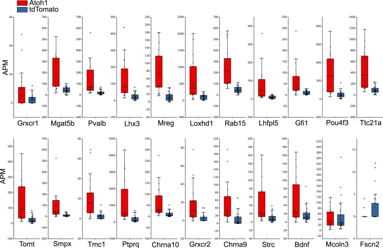 Figure 4—figure supplement 1.