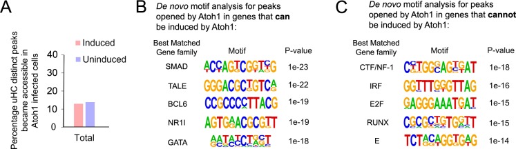 Figure 6—figure supplement 3.