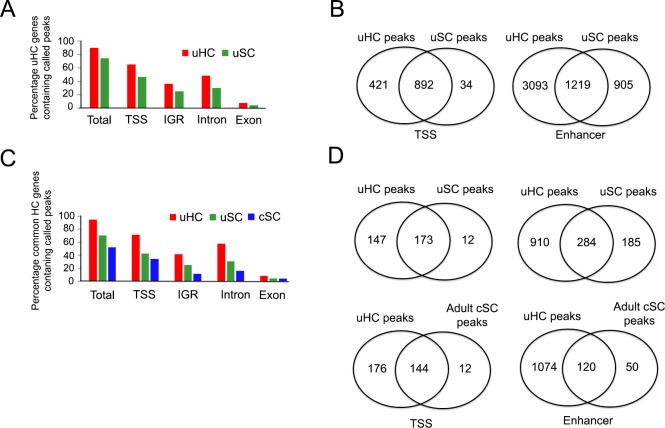 Figure 5—figure supplement 1.