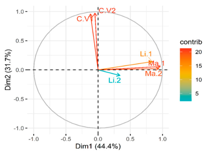 Figure 5