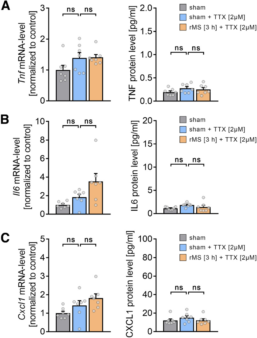 Figure 11.