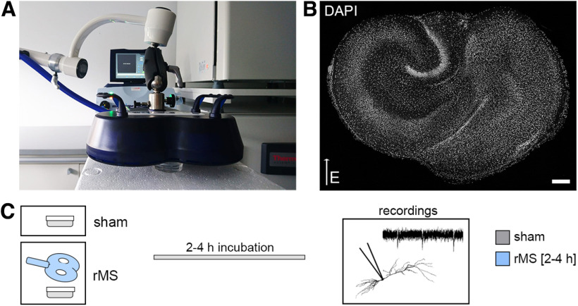 Figure 2.