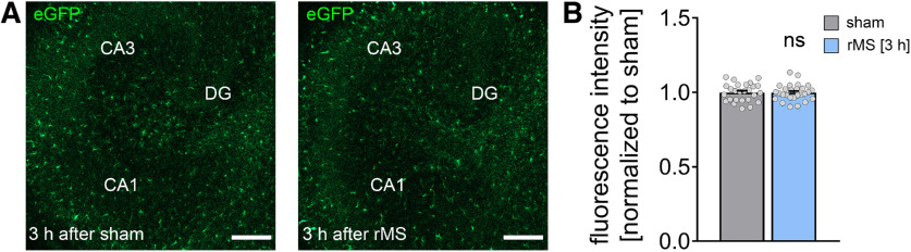 Figure 9.