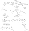 Scheme 2