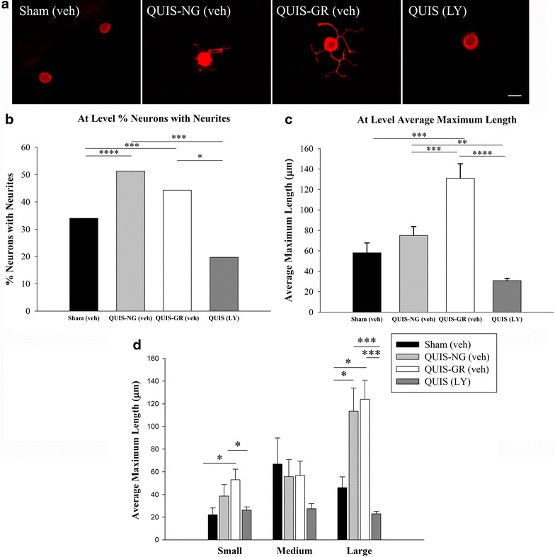 Figure 6