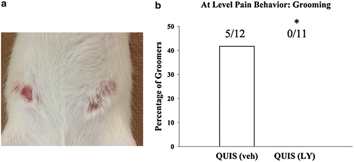 Figure 5