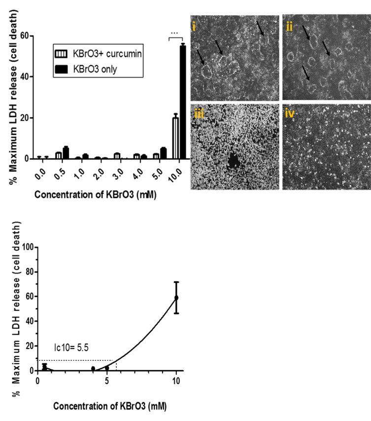 Fig. (1)