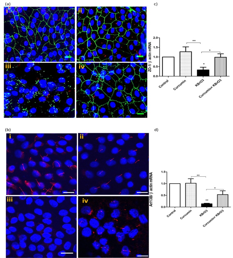 Fig. (4)