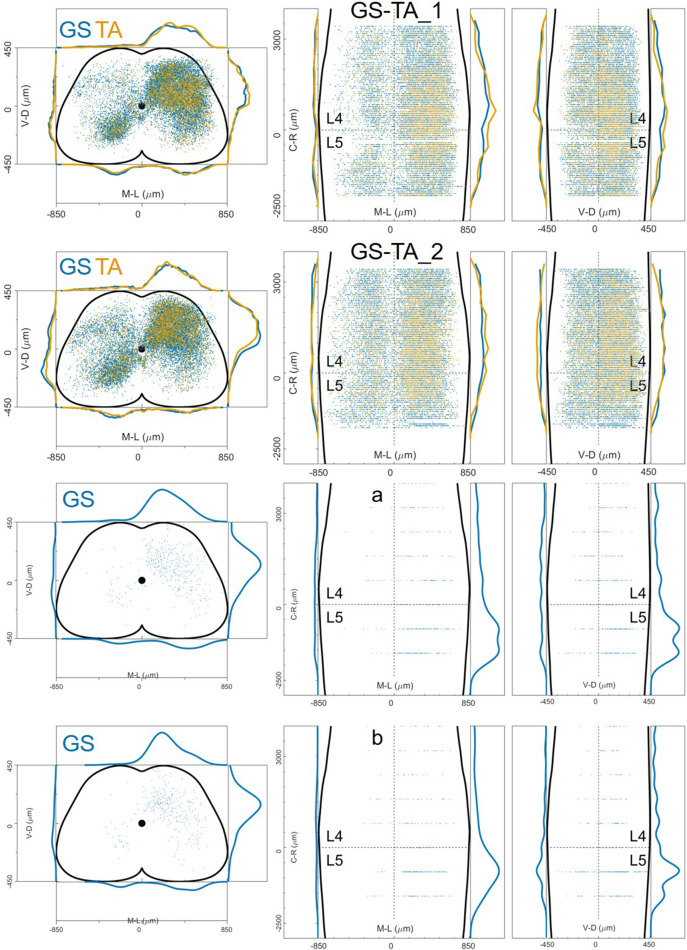 Figure 12—figure supplement 13.