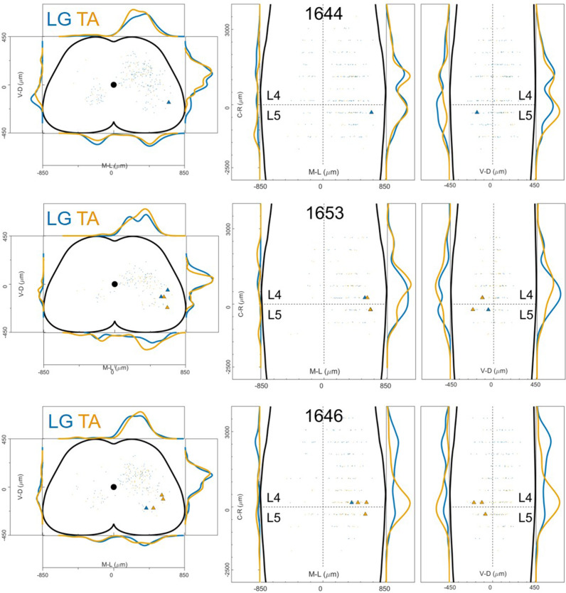 Figure 12—figure supplement 8.