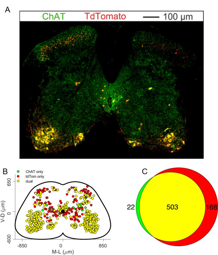 Figure 13.