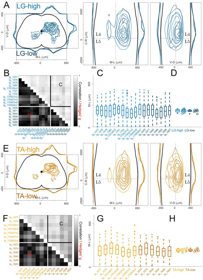 Figure 4—figure supplement 2.