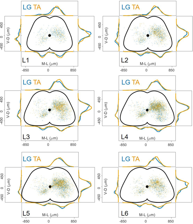 Figure 3—figure supplement 2.