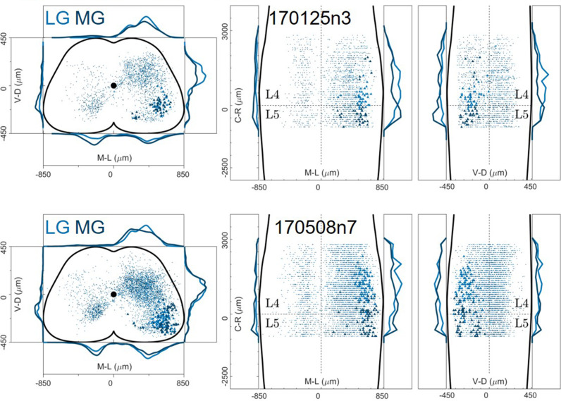 Figure 12—figure supplement 3.