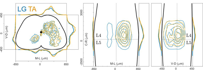 Figure 7—figure supplement 1.