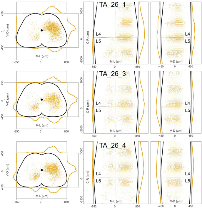 Figure 12—figure supplement 15.