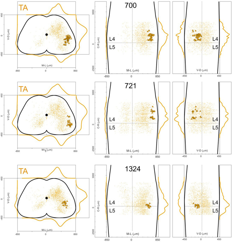 Figure 12—figure supplement 12.