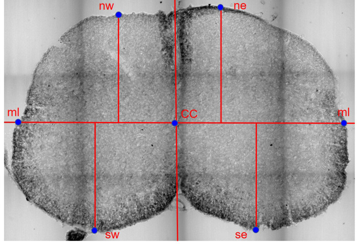 Figure 13—figure supplement 2.