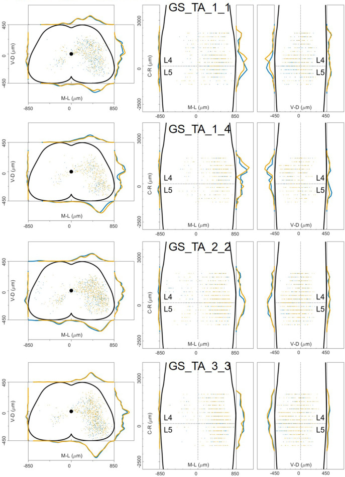 Figure 12—figure supplement 16.