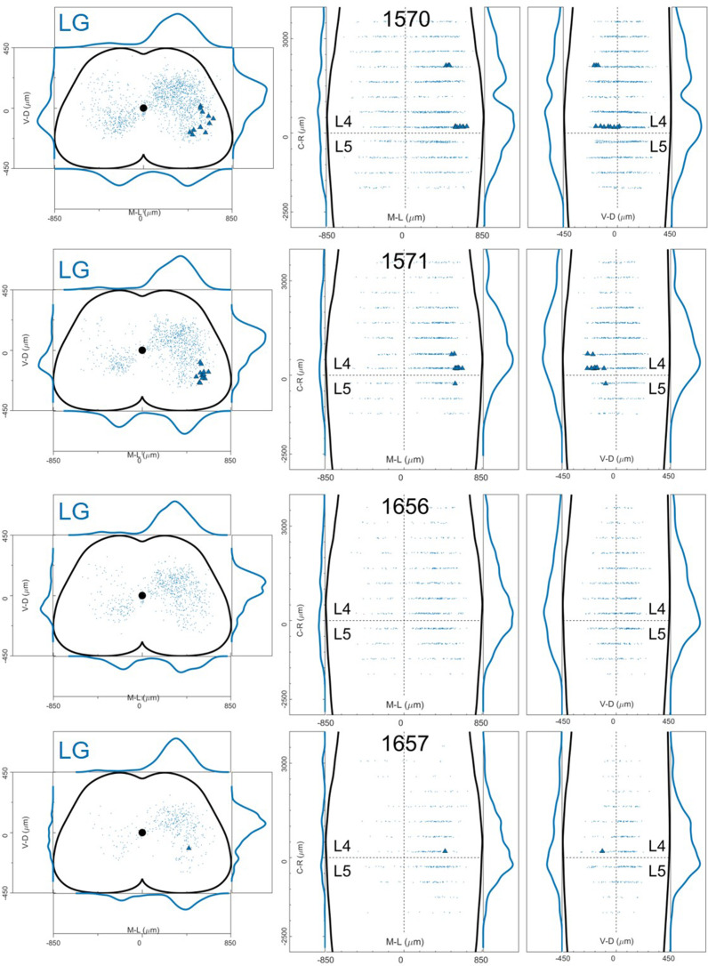 Figure 12—figure supplement 9.