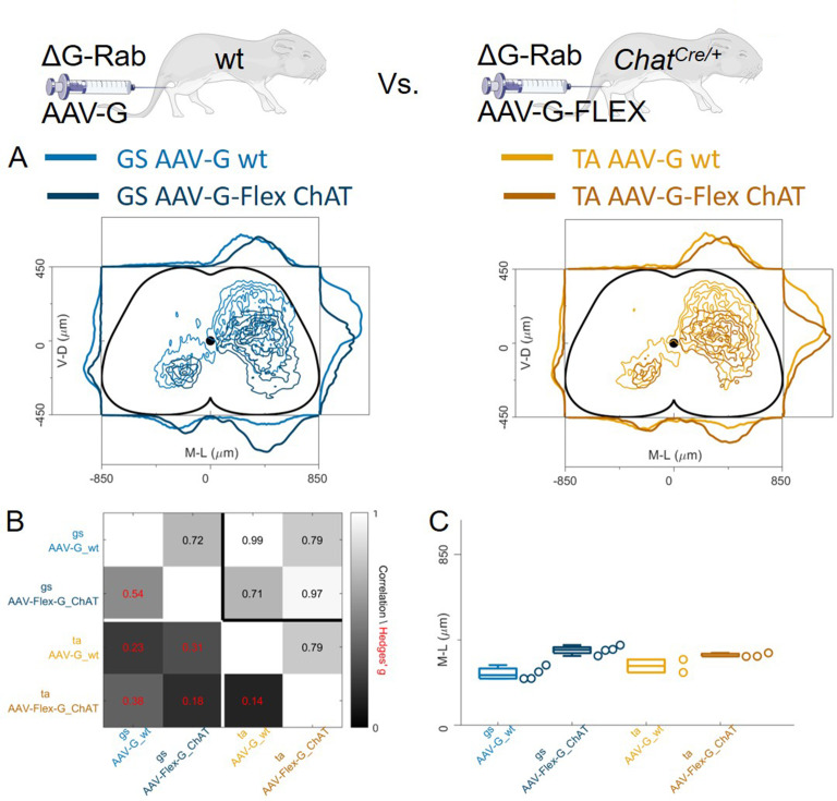 Figure 10.