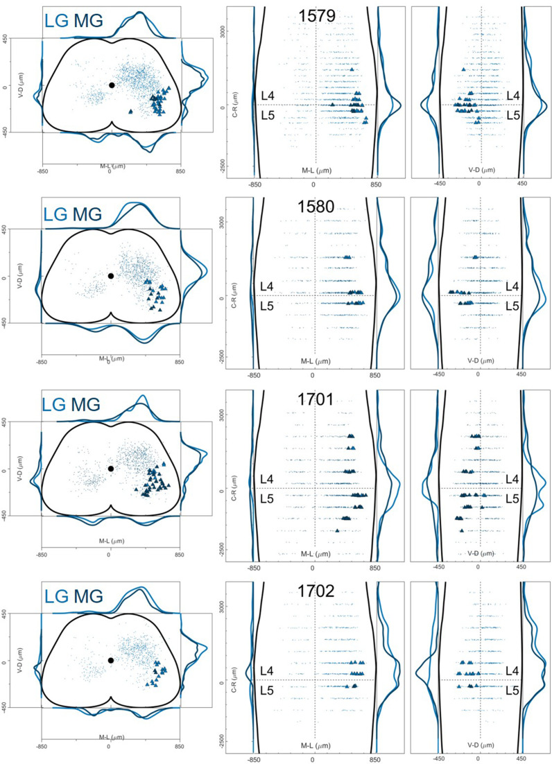 Figure 12—figure supplement 4.