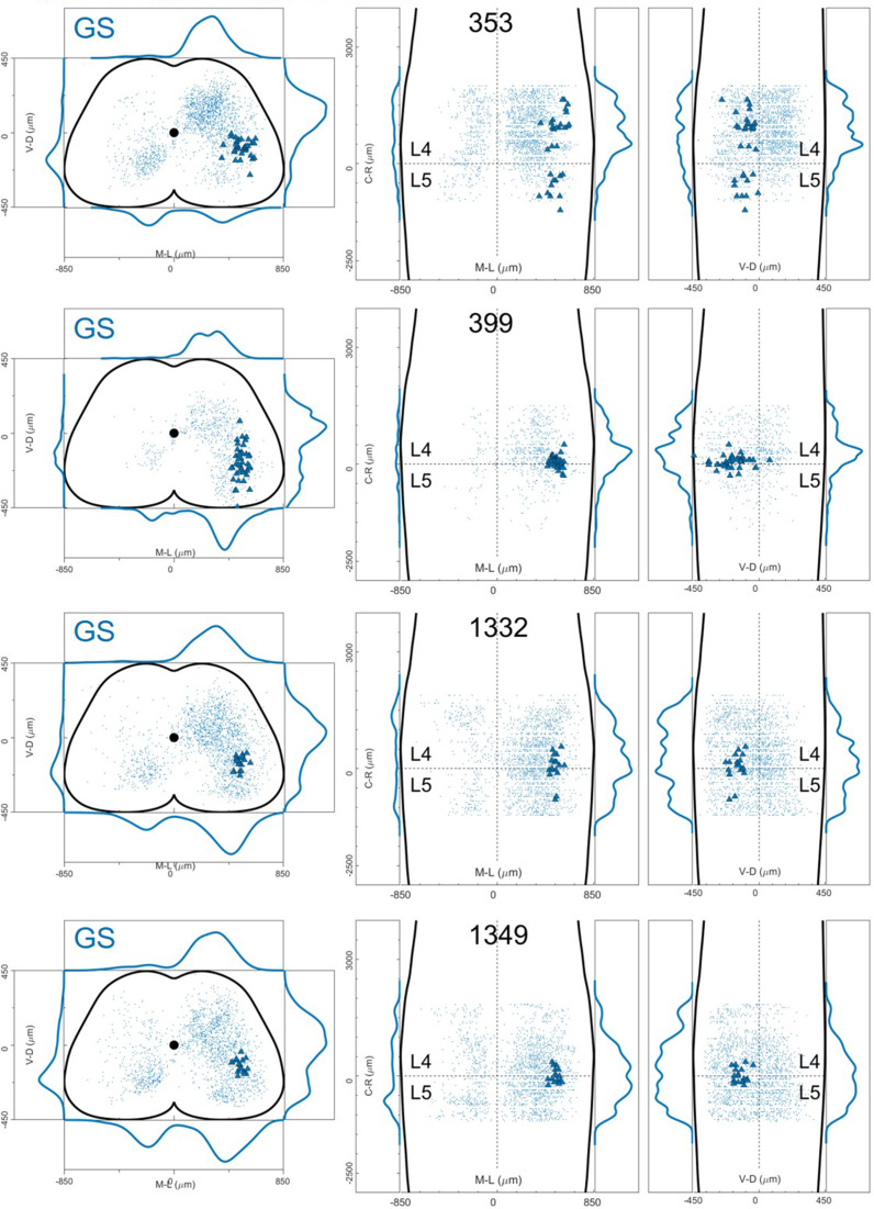 Figure 12—figure supplement 11.