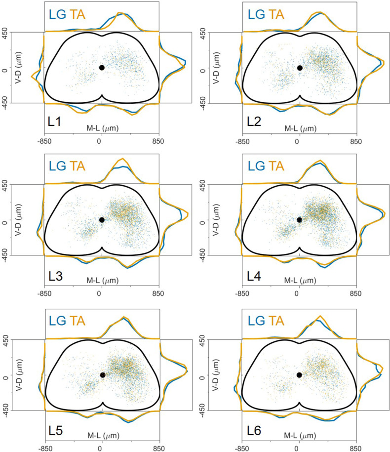 Figure 3—figure supplement 1.