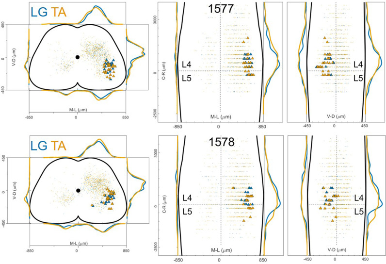 Figure 12—figure supplement 2.