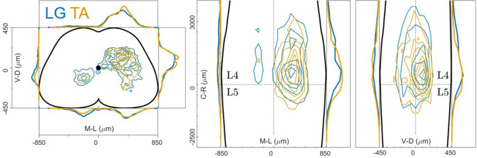 Figure 4—figure supplement 1.