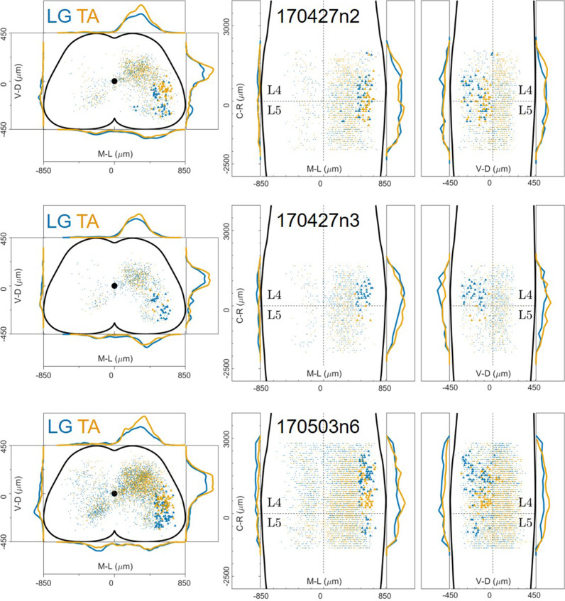 Figure 12—figure supplement 1.