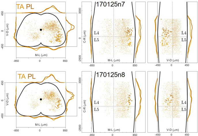 Figure 12—figure supplement 5.