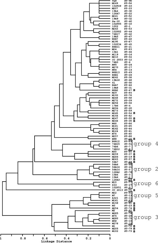 FIG. 1.