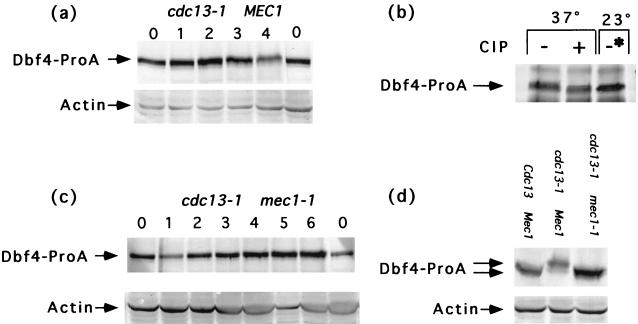 FIG. 7