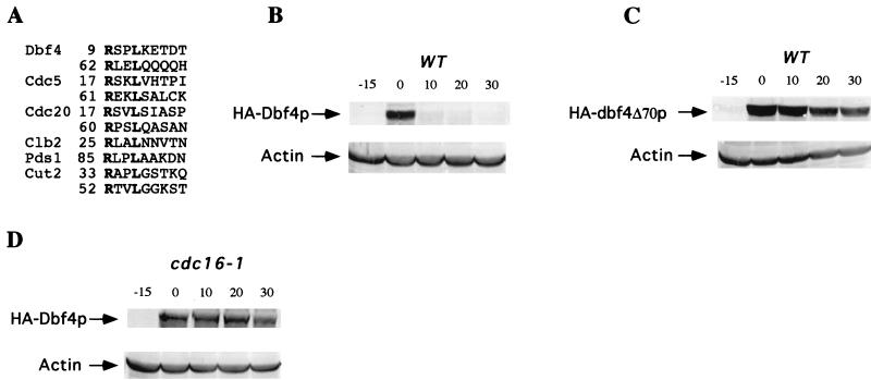 FIG. 6