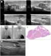 Fig. 7