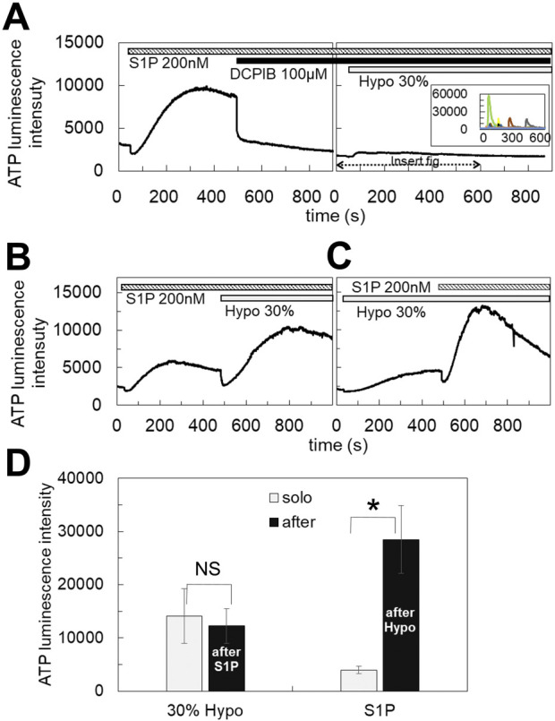 FIGURE 3