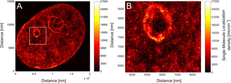 Fig. 12.