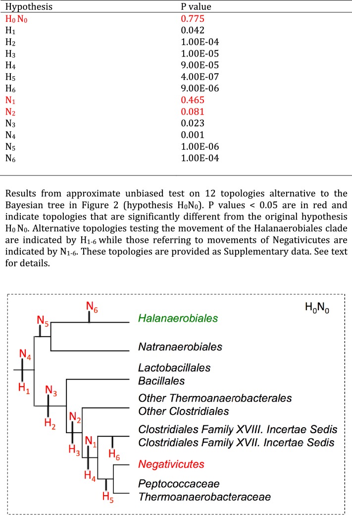 Figure 2—figure supplement 3.