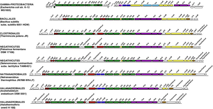 Figure 5—figure supplement 1.