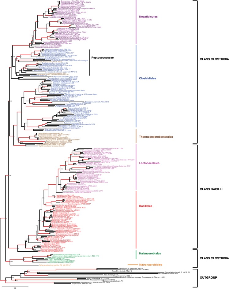 Figure 2—figure supplement 1.