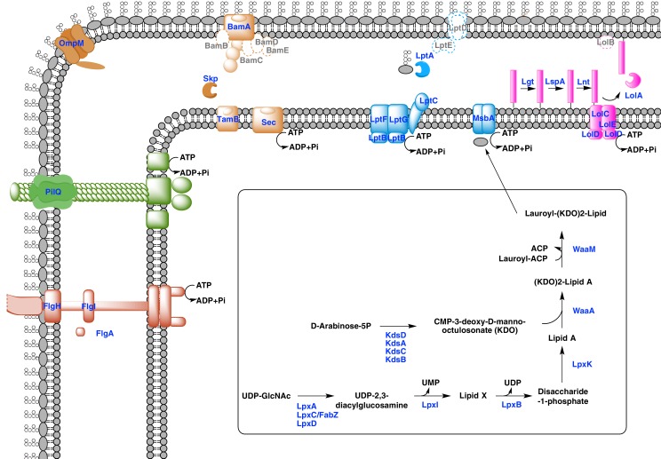 Figure 5.