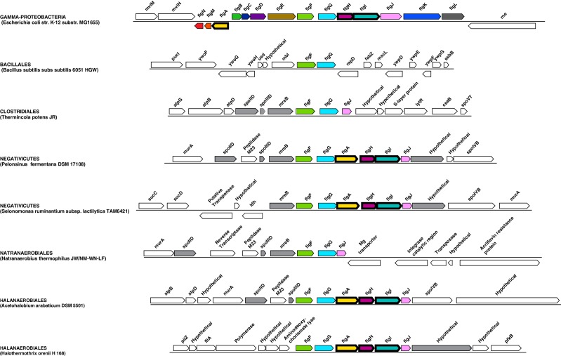 Figure 5—figure supplement 2.