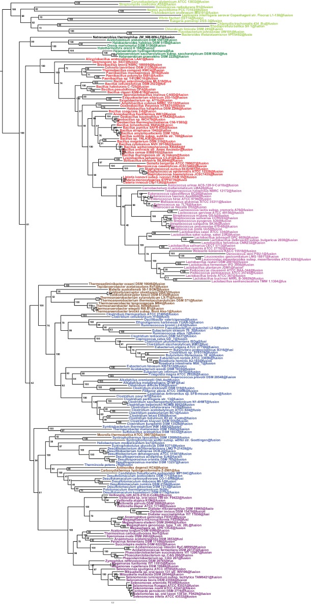 Figure 2—figure supplement 2.