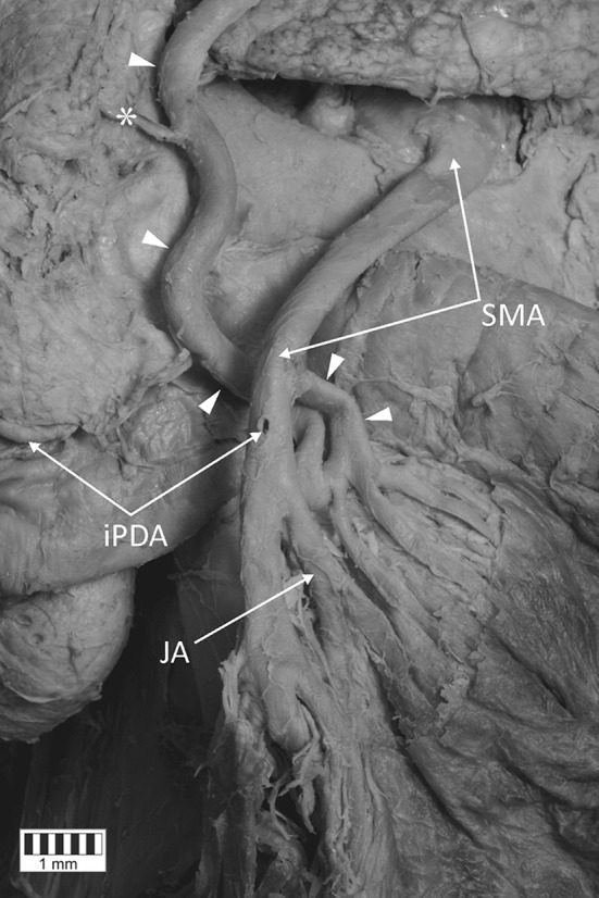 Fig. 2