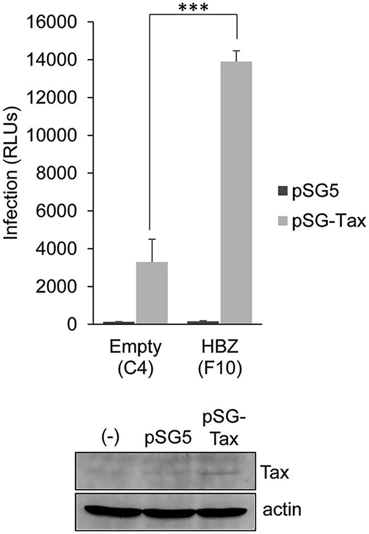 FIG 10