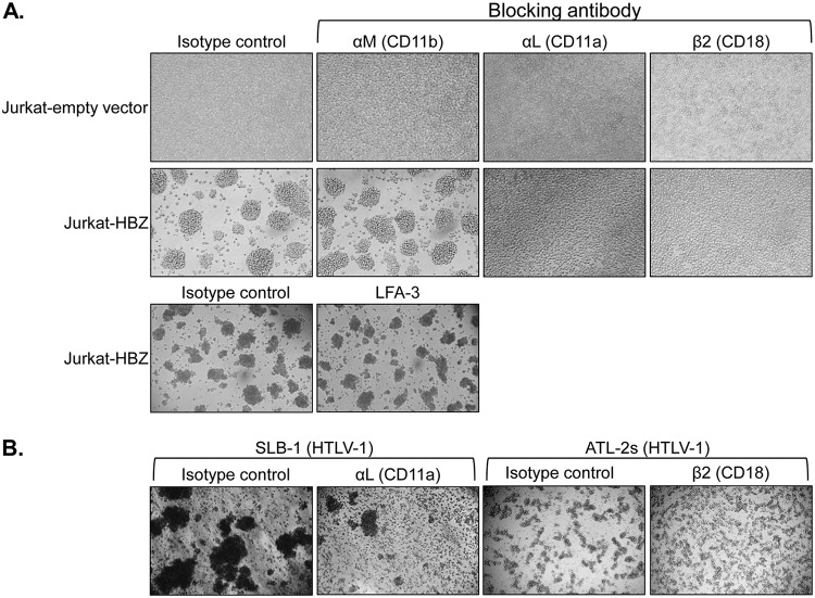 FIG 3