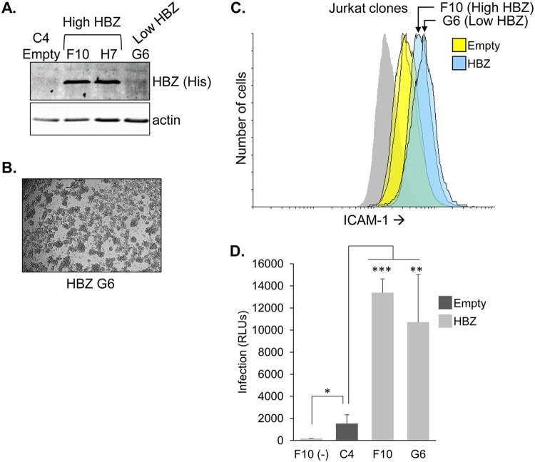 FIG 11