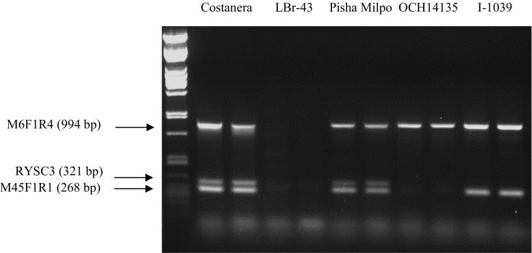 Fig. 2